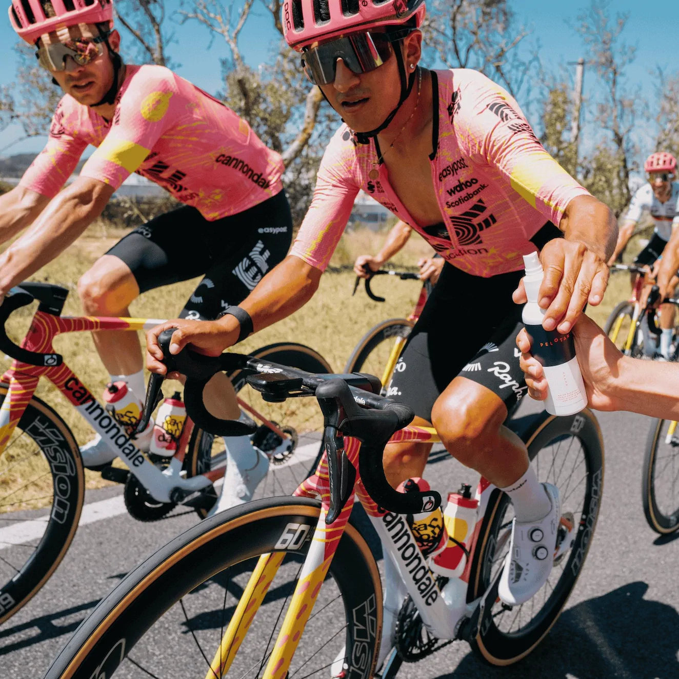 Two cyclists in pink jerseys riding bicycles on a road.